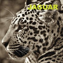 Jaguar Mini Wall Calendar 2017: 16 Month Calendar