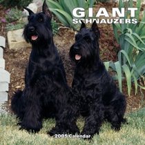 Giant Schnauzers 2005 Wall Calendar