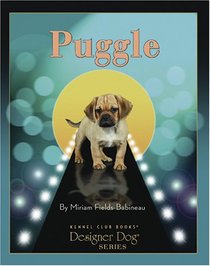 Puggle (Designer Dog)