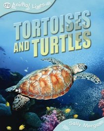 Tortoises and Turtles (QED Animal Lives)