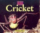 Crickets (Bugs)