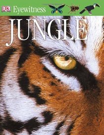 Jungle (Eyewitness Guides)