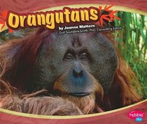 Orangutans (Asian Animals) (Pebble Plus: Asian Animals)