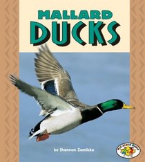 Mallard Ducks (Pull Ahead Books)