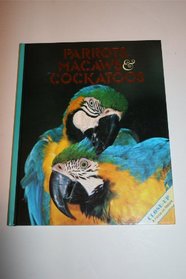 Parrots, MacAws  Cockatoos (Close Up)
