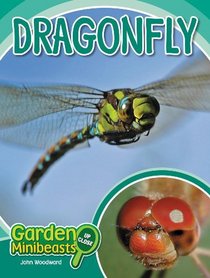 Dragonfly (Garden Minibeasts Up Close)