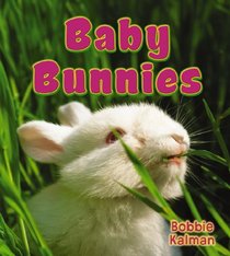 Baby Bunnies (It's Fun to Learn About Baby Animals)