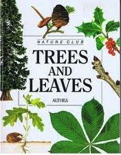 Trees and Leaves (Nature Club)