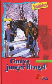 Cindys junger Hengst (Cindy's Glory) (Thoroughbred, Bk 14) (German Edition)