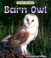 Barn Owl (Wild Britain: Animals)