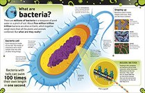 The Bacteria Book: The Big World of Really Tiny Microbes