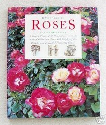 Garden - Roses