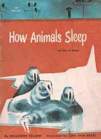 How Animals Sleep (A Time for Sleep)