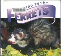 Ferrets (Weird Pets)