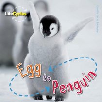 Egg to Penguin (LifeCycles)
