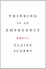 Thinking in an Emergency (Amnesty International Global Ethics Series)