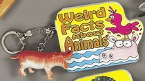 Weird Facts About Animals : Key Chain Books