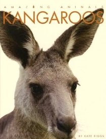 Kangaroos (Amazing Animals)