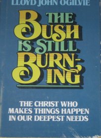 The Bush is Still Burning: The Christ Who Makes Things Happen in Our Deepest Needs