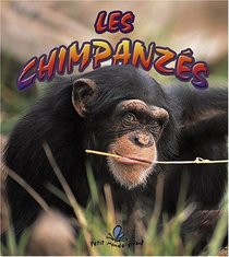 Les Chimpanzes / Endangered Chimpanzee (Le Petit Monde Vivant / Small Living World) (French Edition)