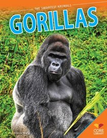 Gorillas (Smartest Animals)