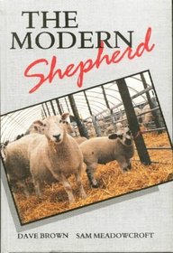 The Modern Sheperd