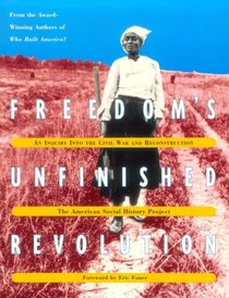 Freedom's Unfinished Revolution: An Inquiry into the Civil War and Reconstruction (American Social History Project)