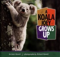 A Koala Joey Grows Up (Baby Animals)