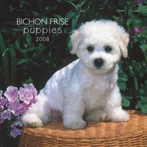 Bichon Frise Puppies 2008 Mini Wall Calendar