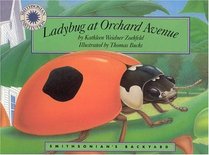 Ladybug at Orchard Avenue (Smithsonian's Backyard)