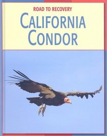 California Condor (Road to Recovery)