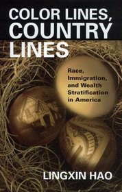 Color Lines, Country Lines: Race, Immigration, and Wealth Stratification in America