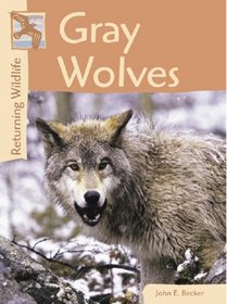 Returning Wildlife - Gray Wolves (Returning Wildlife)