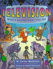 Television: What's Behind What You See