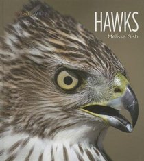 Hawks (Living Wild)