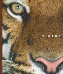 Tigers (The World of Mammals)