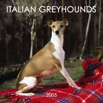 Italian Greyhounds 2005 Wall Calendar