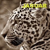 Jaguar Calendar 2017: 16 Month Calendar