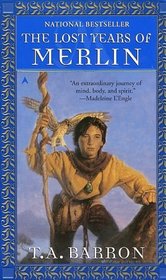 The Lost Years of Merlin (Bk 1)