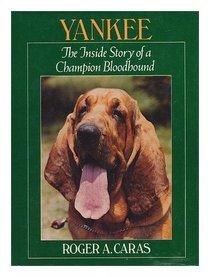 Yankee: The inside story of a champion bloodhound