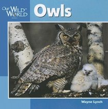 Owls (Our Wild World)