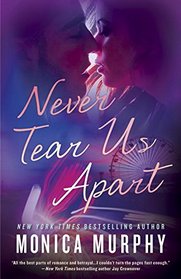 Never Tear Us Apart (Never Tear Us Apart, Bk 1)