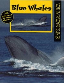 Blue Whales (Wild World)