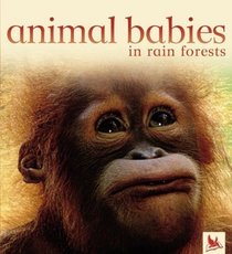 Animal Babies in  Rain Forests (Animal Babies)