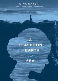 A Teaspoon of Earth and Sea: A Novel