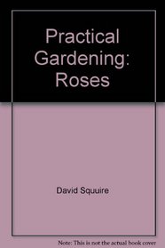 Practical Gardening: Roses