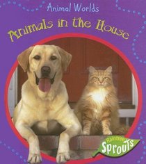 Animals in the House (Animal Worlds)