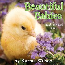 Beautiful Babies: A Touch-and-Feel Book (Touch and Feel)