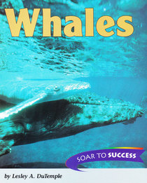 Whales (Soar to success)