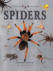 Nature Watch: Spiders